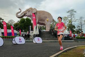 BIB: 
                            <button type="button" onclick="openModal(26528537)" class="btn btn-primary btn-sm float-right btn-popup" data-toggle="modal" data-target=".modal-high-quality">
                        <i class="fas fa-shopping-cart"></i> Add to Cart
                    </button>
                                            <button type="button" onclick="isThisMe(26528537, true)" class="btn btn-success btn-sm float-right btn-popup btn-isme hidden" data-toggle="tooltip" data-placement="bottom" title="นี่คือรูปของคุณใช่ไหม คลิกที่นี่เพื่อเอาเข้าอัลบั้ม">
                        <i class="fas fa-plus"></i> Add to album
                    </button>
                    <button type="button" onclick="isThisMe(26528537, false)" class="btn btn-warning btn-sm float-right btn-popup btn-isnotme hidden">
                        <i class="fas fa-ban"></i> Remove from album
                    </button>